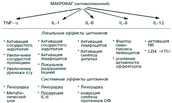 Эффекты монокинов