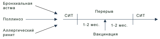 Сроки прерывания курса специфической иммунотерапии (СИТ) при проведении плановой иммунизации