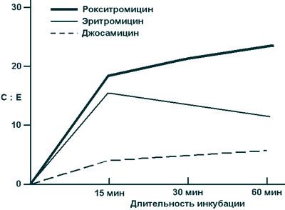 Аккумуляция макролидов в нейтрофилах