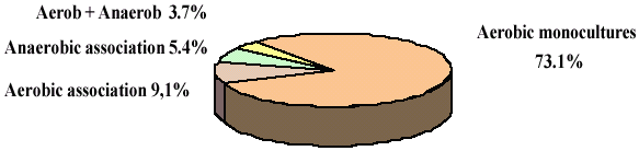 Etiology of  acute community-acquired maxillary sinusitis