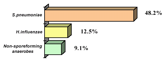 The most common causative agents of acute maxillary sinusitis (N=64)