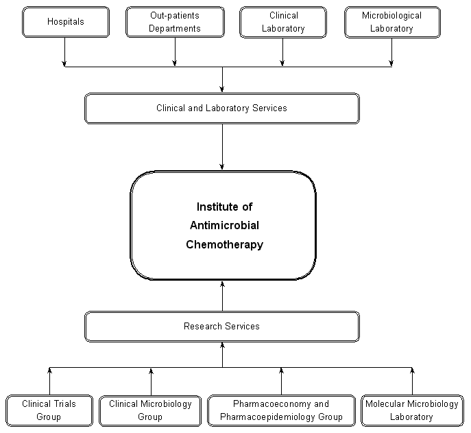 Structure of IAC