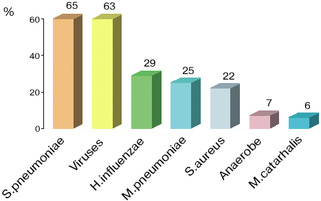 The most common AECB pathogens