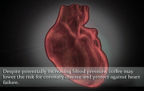 Несмотря на способность повышать артериальное давление, кофе снижает риск появления ишемической болезни сердца и защищает от развития сердечной недостаточности