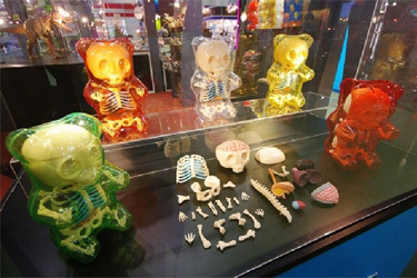 Анатомические игрушки Анатомические игрушки