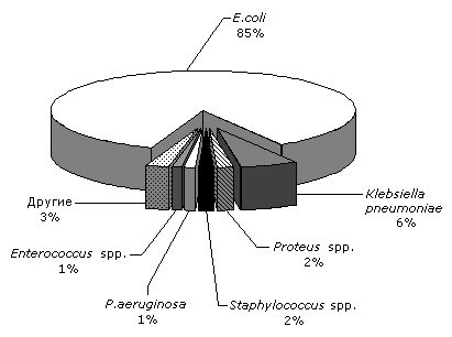 Структура возбудителей неосложненных ИМП у амбулаторных пациентов в России