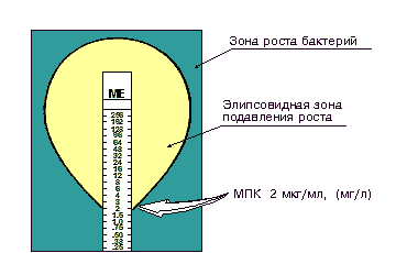 Рис.2. Определение чувствительности микроорганизмов с помощью Е-тестов