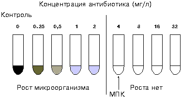 Рис.3. Определение значения МПК методом разведения в жидкой питательной среде