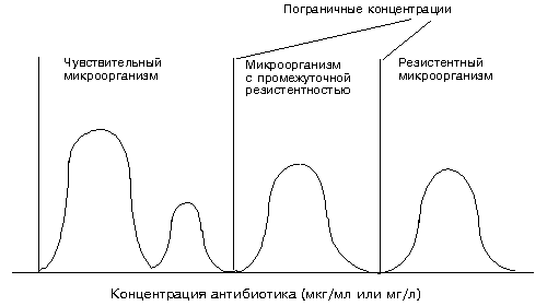 Рис.4. Интерпретация результатов определения чувствительности бактерий в соответствии со значениями МПК