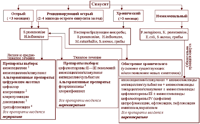 Схема антибактериальной терапии синуситов