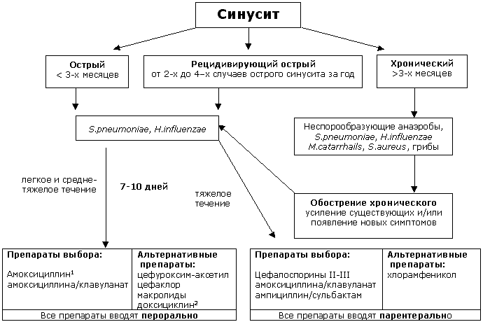 Рис.1. Схема антибактериальной терапии синусита