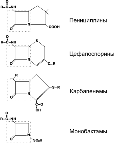 Строение основных b-лактамных антибиотиков, применяющихся в настоящее время