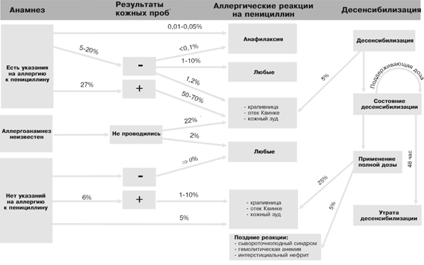 Вероятность развития АР на пенициллин в зависимимости от анамнеза и результатов кожных проб