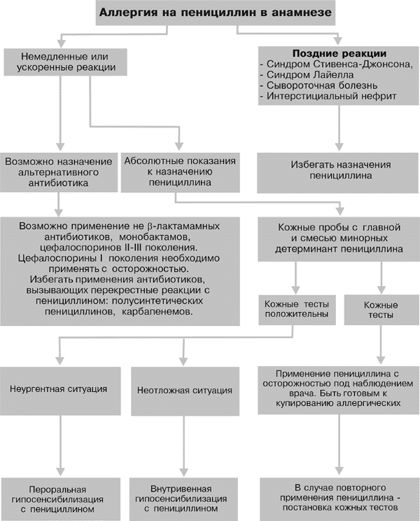 Схема ведения больных с аллергией на пенициллины в анамнезе