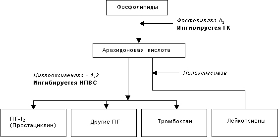 Рис.1. Метаболизм арахидоновой кислоты