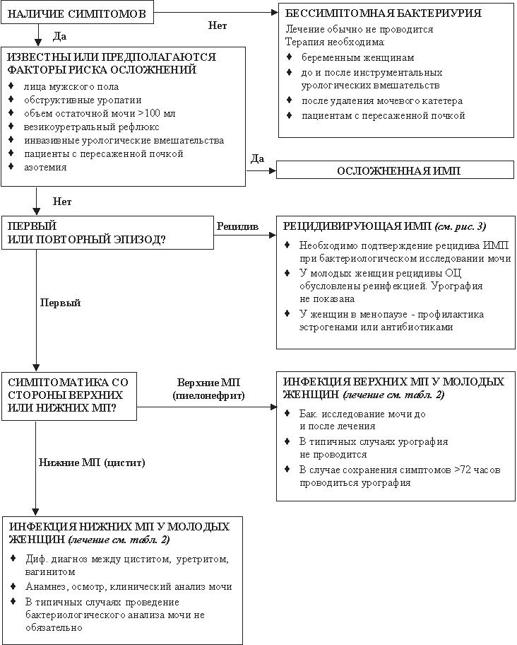 Алгоритм ведения пациентов с инфекцией мочевыводящих путей