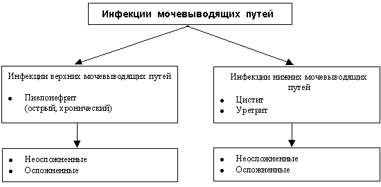 Рис.1. Классификация инфекций мочевыводящих путей