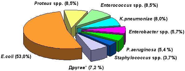 Структура возбудителей внебольничных ИМС у детей в России