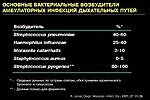 Основные бактериальные возбудители амбулаторных инфекций дыхательных путей